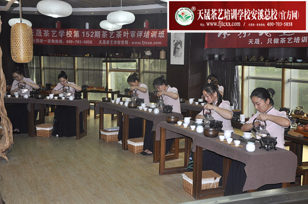 第152期：茶修之行茶十式表演考核(图3)