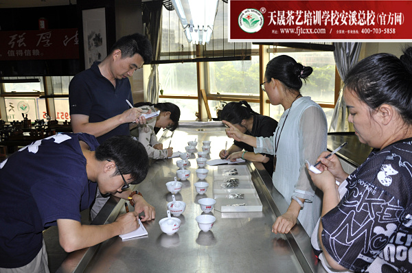 第159期：福鼎白茶的加工与审评、白茶实践审评(图2)