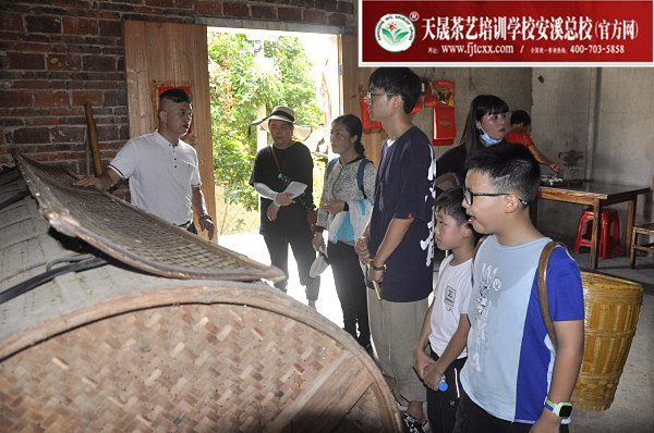 第159期：实践体验安溪乌龙茶制作(图2)