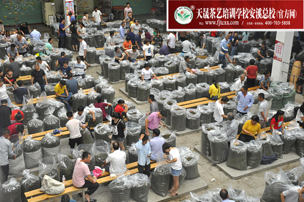 第159期：深入茶叶市场了解行情及闽北乌龙茶的加工与审评(图2)