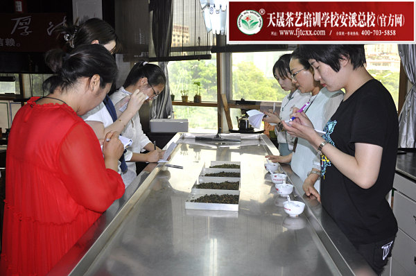 第160期:乌龙茶分类及安溪四大名茶审评与检验(图2)