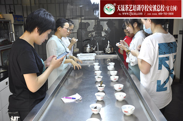 第160期：福鼎白茶的加工与审评、白茶实践审评(图2)