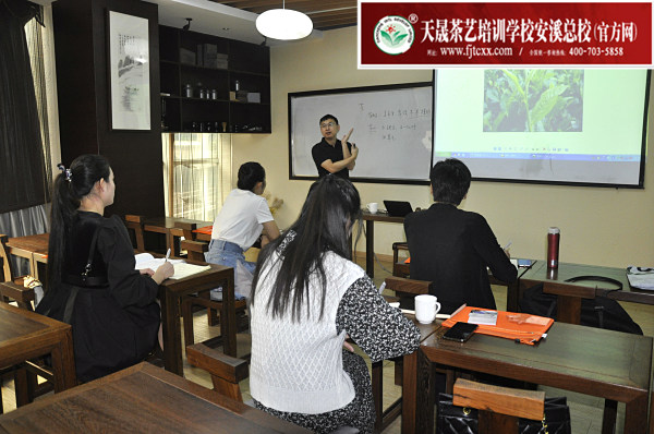 第161期：六大茶类加工与审评：茶叶的分类(图1)