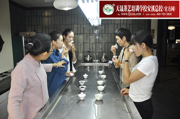 第161期：安溪铁观音初制工艺以及毛茶品质特征(图3)