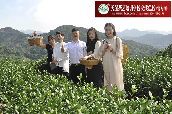 第161期：实践体验安溪乌龙茶制作(图1)