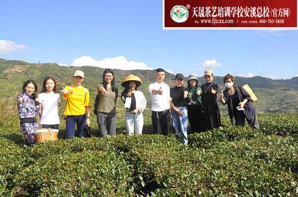 第162期：实践体验安溪乌龙茶制作(图1)