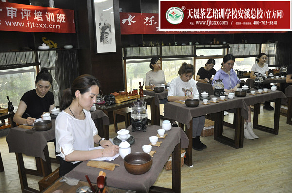 第162期：茶修之行茶十式分段讲解与训练(图1)