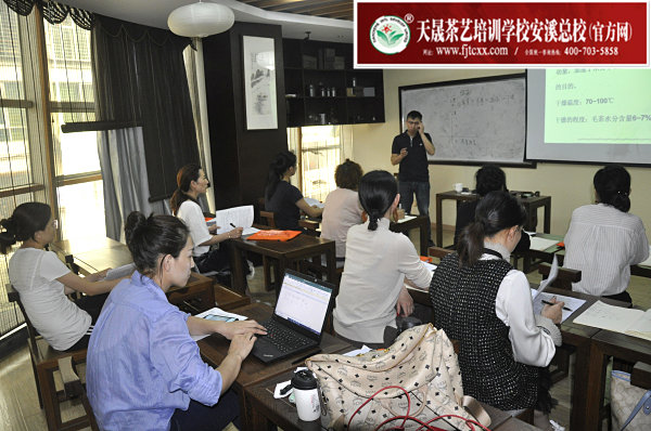 第162期：绿茶的加工与审评、绿茶实践审评(图1)