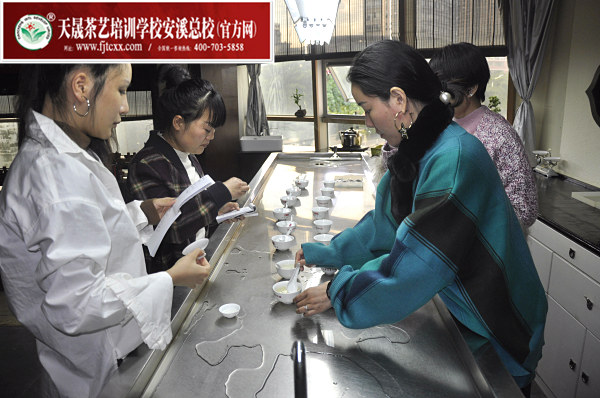 第163期：福鼎白茶的加工与审评、白茶实践审评(图3)