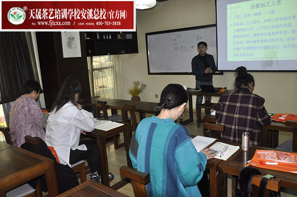 第163期：福鼎白茶的加工与审评、白茶实践审评(图1)