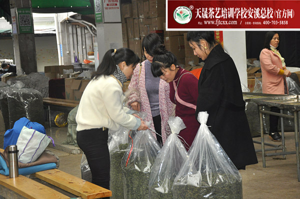 第163期：深入茶叶市场了解行情及闽北乌龙茶的加工与审评(图2)