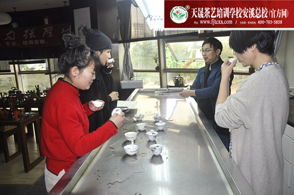 第163期：绿茶的加工与审评、绿茶实践审评(图2)