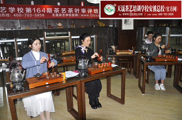 第164期：台湾十八道分段复习、名茶品鉴之安溪铁观音(图3)