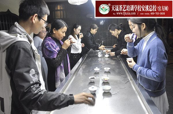 第164期：台湾十八道分段复习、名茶品鉴之安溪铁观音(图5)