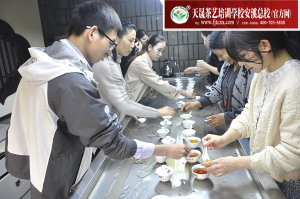 第164期：红茶的加工与审评、八大茶类实践审评(图3)