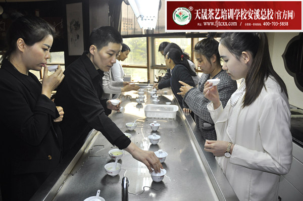 第164期：安溪铁观音初制工艺以及毛茶品质特征(图3)