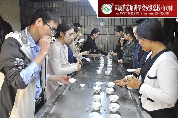 第164期：福鼎白茶的加工与审评、白茶实践审评(图3)