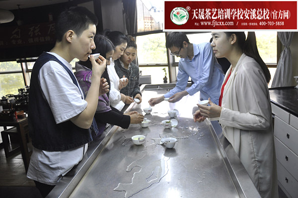 第164期：绿茶的加工与审评、绿茶实践审评(图2)