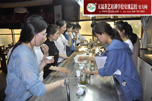 第165期：台湾十八道茶艺分段训练、名茶品鉴之西湖龙井、黄山毛峰、信阳毛尖(图5)