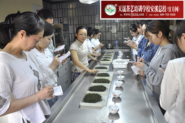 第165期：安溪铁观音初制工艺以及毛茶品质特征(图2)