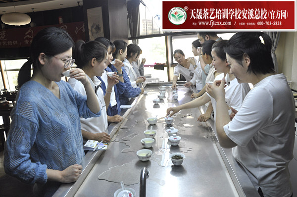 第165期：安溪铁观音初制工艺以及毛茶品质特征(图3)