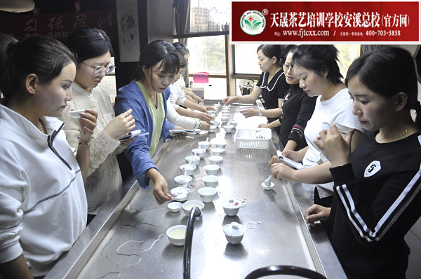 第165期：福鼎白茶的加工与审评、白茶实践审评(图2)