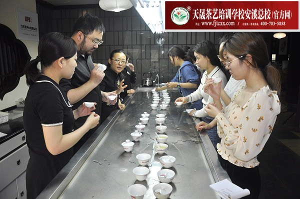 第165期：福鼎白茶的加工与审评、白茶实践审评(图3)