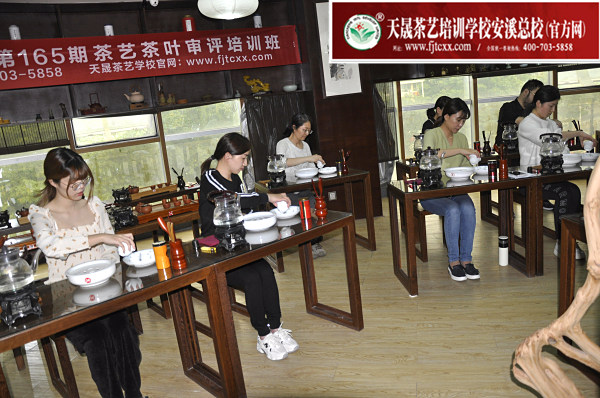 第165期：安溪茶艺分段讲解与训练(图3)
