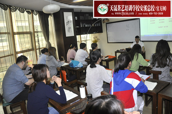 第165期：茶叶店经营管理之茶叶市场分析(图1)