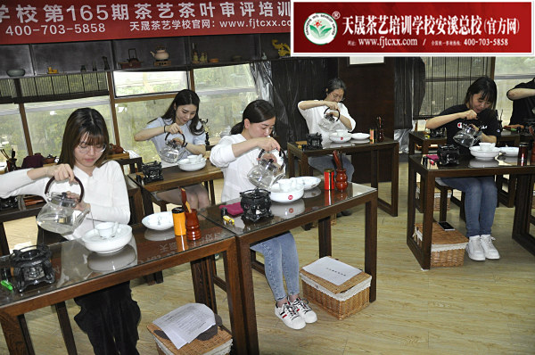 第165期：安溪茶艺流水训练复习(图1)