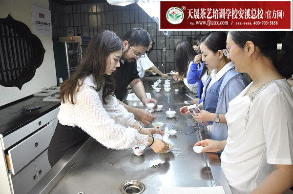 第165期：绿茶的加工与审评、绿茶实践审评(图3)