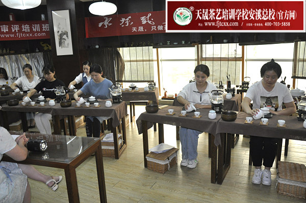 第165期：茶修之行茶十式复习(图3)