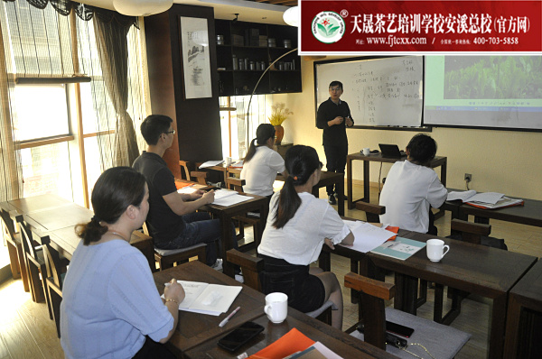 第166期：六大茶类加工与审评：茶叶的分类(图1)