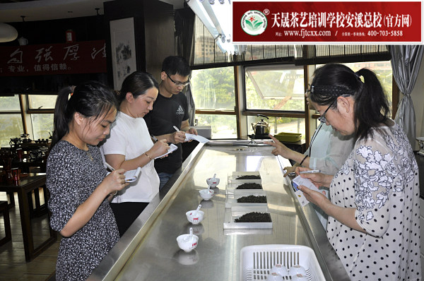 第166期：铁观音香型分类与审评(图2)