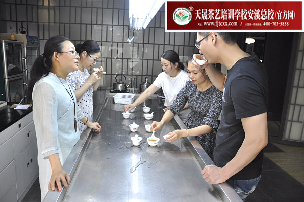 第166期：铁观音香型分类与审评(图3)