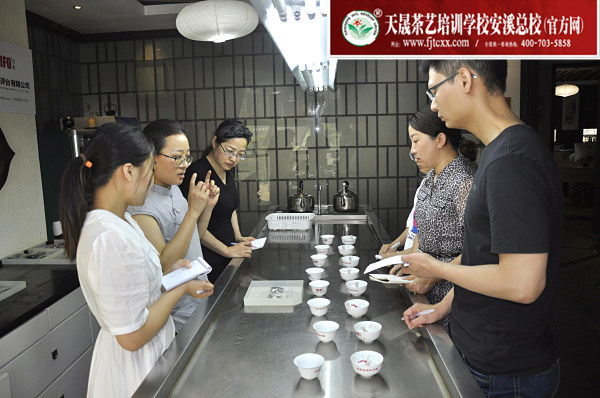 第166期：福鼎白茶的加工与审评、白茶实践审评(图2)