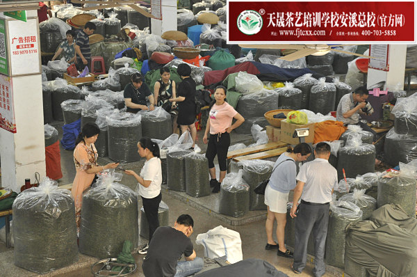 第166期：深入茶叶市场了解行情及闽北乌龙茶的加工与审评(图2)