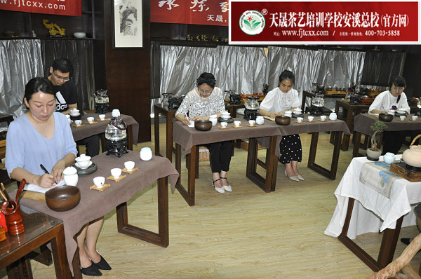 第166期：茶修之行茶十式分段讲解与训练(图1)