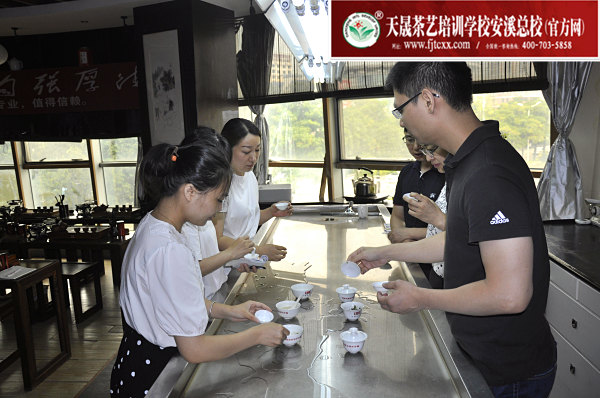 第166期：绿茶的加工与审评、绿茶实践审评(图3)