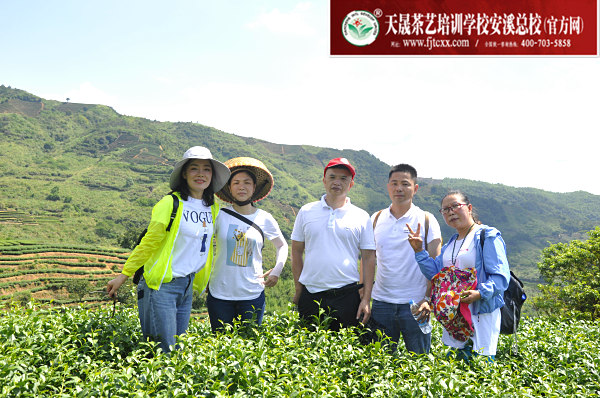 第168期：实践体验安溪乌龙茶制作(图1)