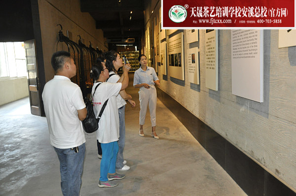 第168期：参观安溪铁观音茶史博物馆(图3)