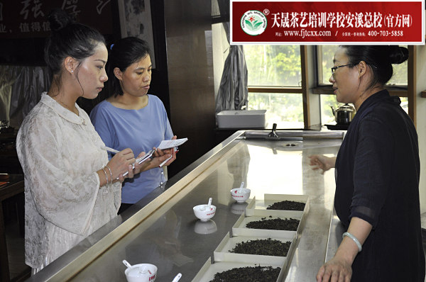 第169期：铁观音香型分类与审评(图2)