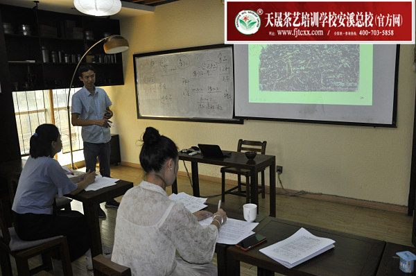 第169期：铁观音香型分类与审评(图1)