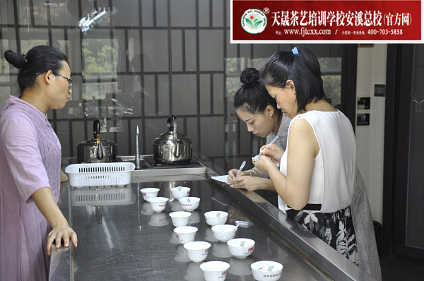 第169期：福鼎白茶的加工与审评、白茶实践审评(图2)