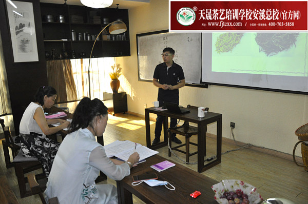 第169期：绿茶的加工与审评、绿茶实践审评(图1)