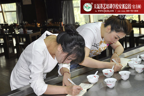 第170期：福鼎白茶的加工与审评、白茶实践审评(图2)