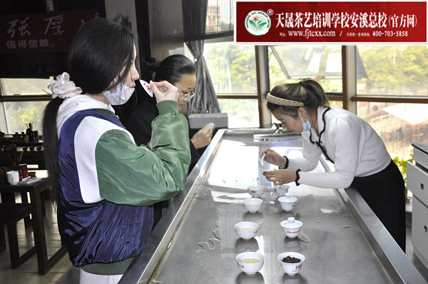 第171期：铁观音香型分类与审评(图3)