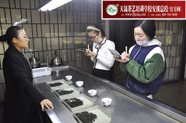 第171期：铁观音香型分类与审评(图2)