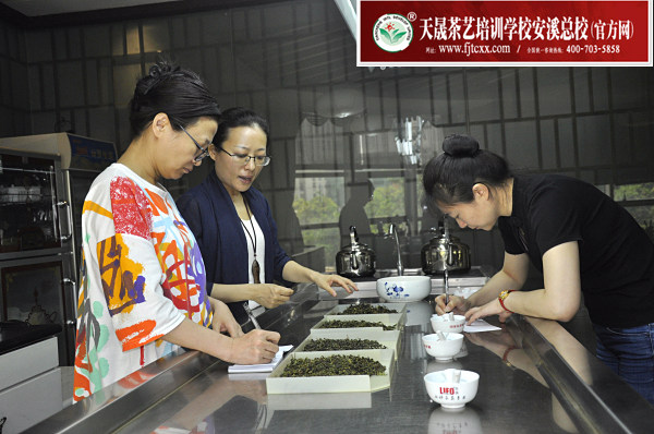 第185期：乌龙茶分类及安溪四大名茶审评与检验(图2)