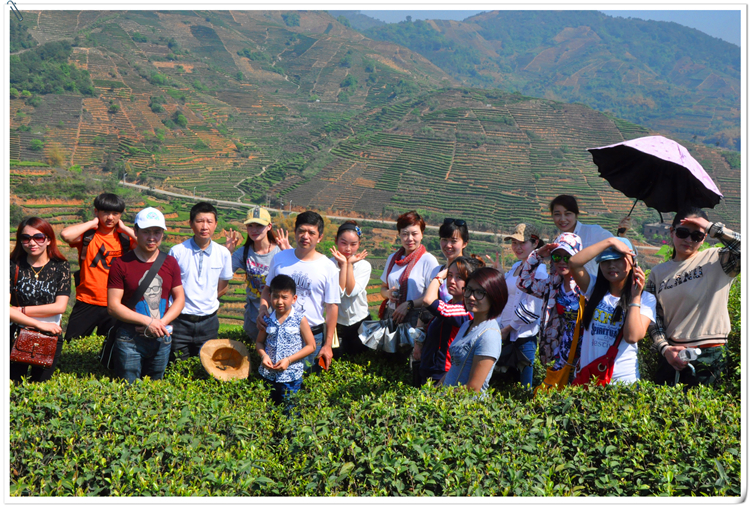 哪里可以学茶艺培训?天晟茶艺培训学校答哈尔滨茶艺师培训学员(图4)